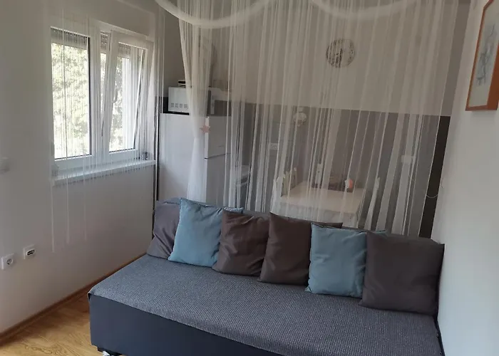 Vidikovac Appartement Vrnjačka Banja